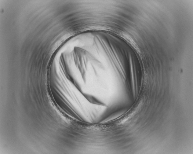 X0000088890898200706291437