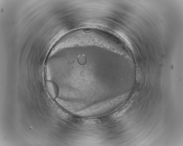 X0000088890899200706291437