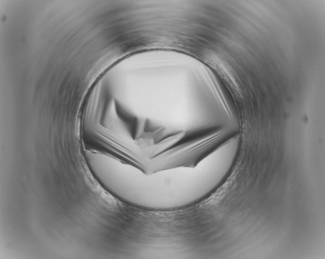 X0000088890900200706291437