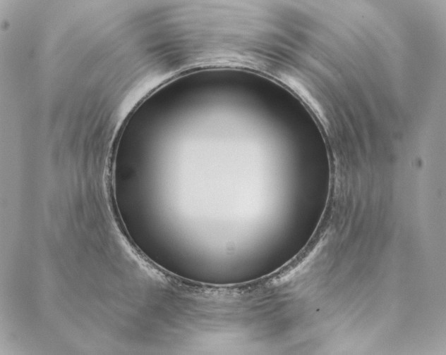 X0000088890901200706291437