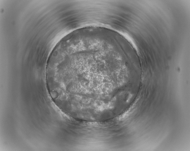 X0000088890903200706291437