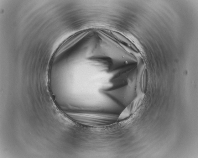 X0000088890904200706291437