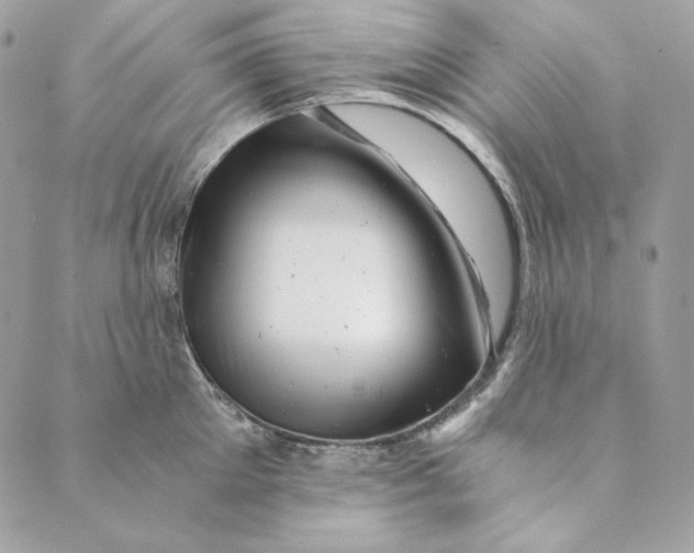 X0000088890905200706291437