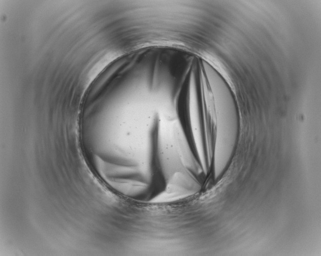 X0000088890906200706291437