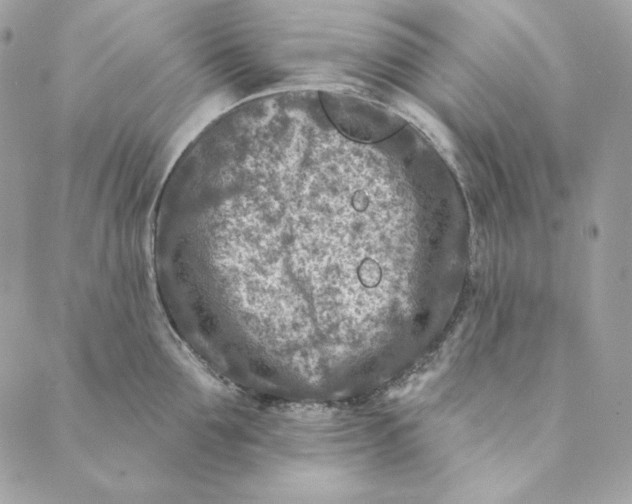 X0000088890907200706291437