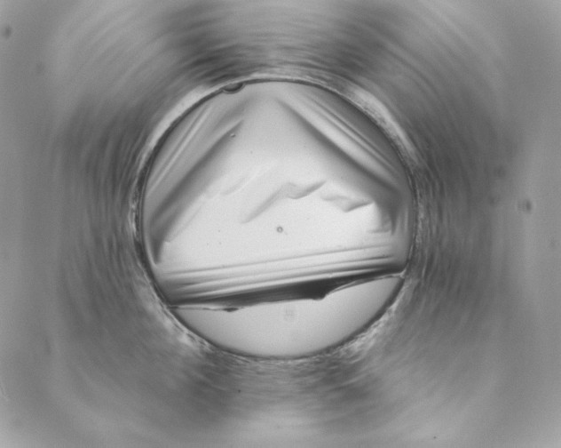 X0000088890908200706291437