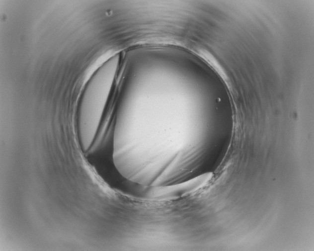 X0000088890909200706291437