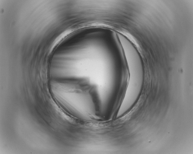 X0000088890910200706291436