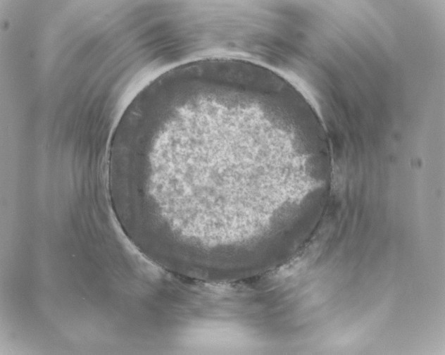 X0000088890911200706291436