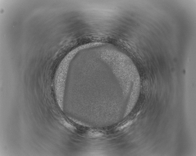 X0000088890913200706291436