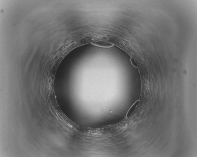 X0000088890914200706291436