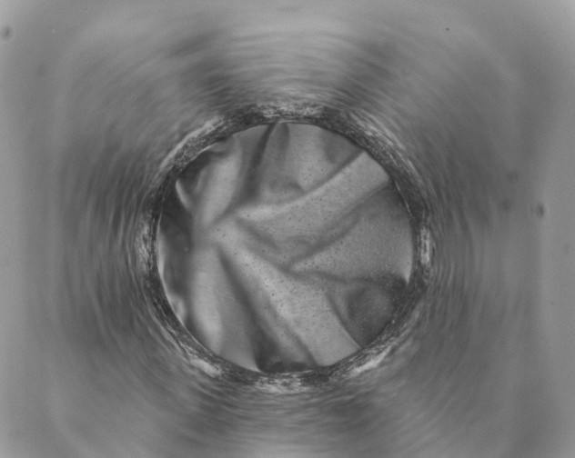 X0000088890915200706291436