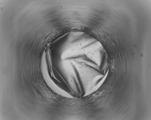 X0000088890916200706291436