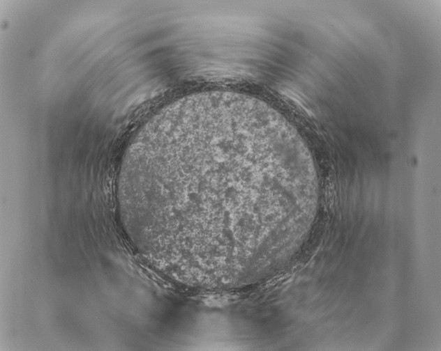 X0000088890917200706291436