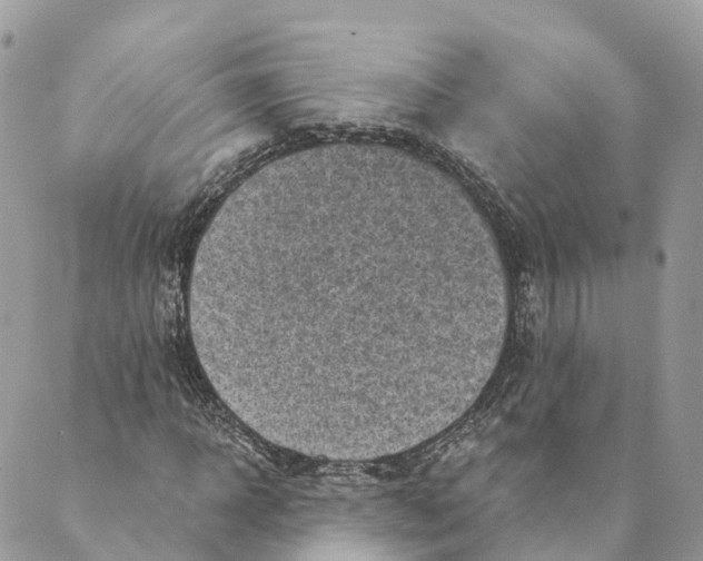 X0000088890918200706291436