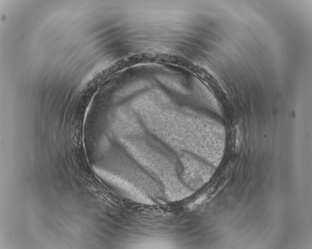 X0000088890919200706291436