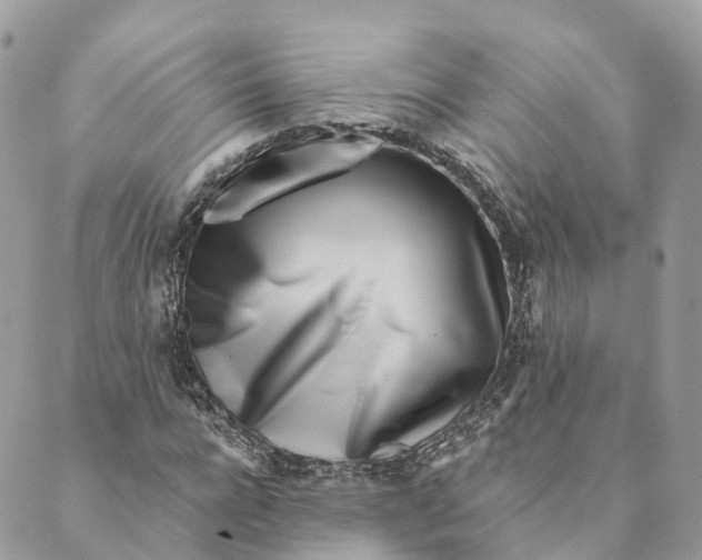 X0000088890920200706291436