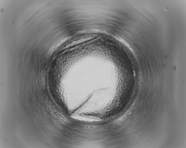 X0000088890921200706291436