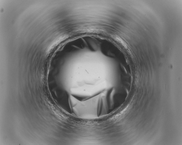 X0000088890922200706291436