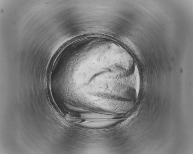 X0000088890924200706291436