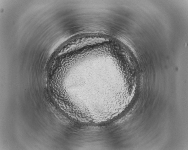 X0000088890925200706291436