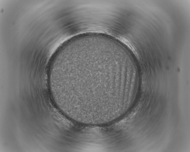 X0000088890926200706291436