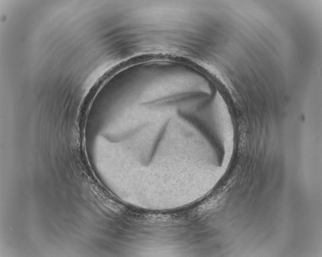 X0000088890927200706291436