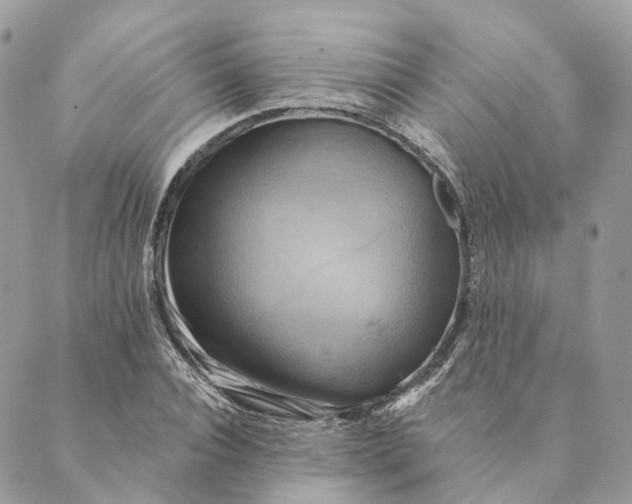 X0000088890928200706291436