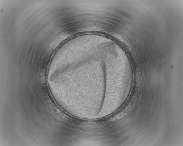 X0000088890929200706291436