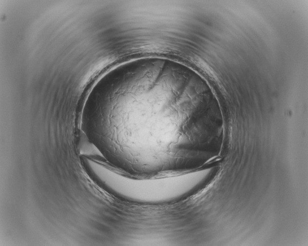 X0000088890930200706291436