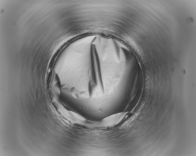 X0000088890932200706291436