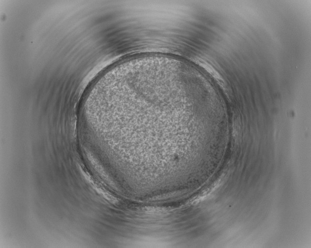 X0000088890933200706291436