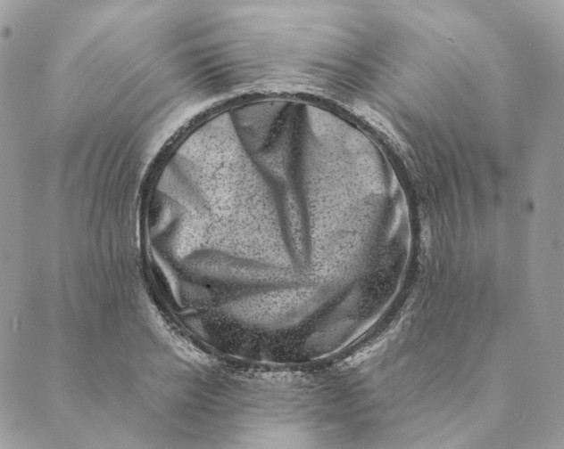 X0000088890934200706291436