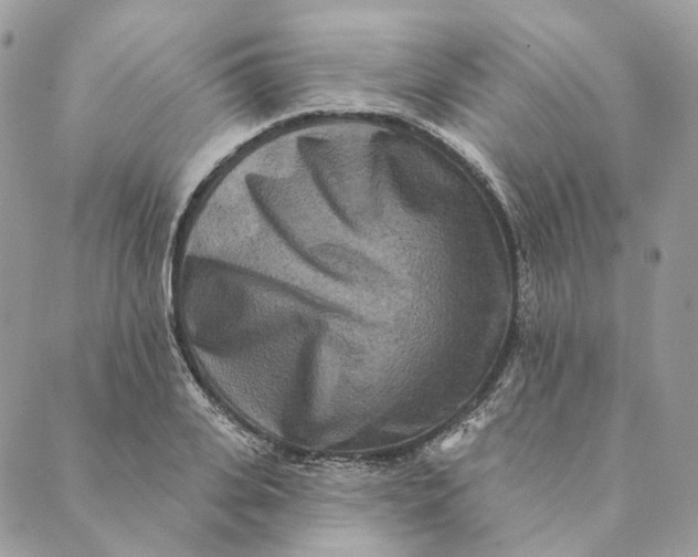 X0000088890935200706291436