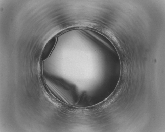 X0000088890936200706291436