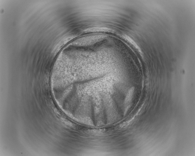 X0000088890937200706291436