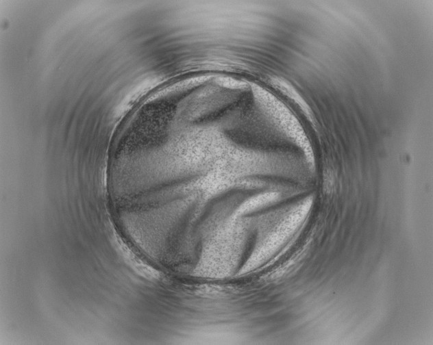 X0000088890938200706291436