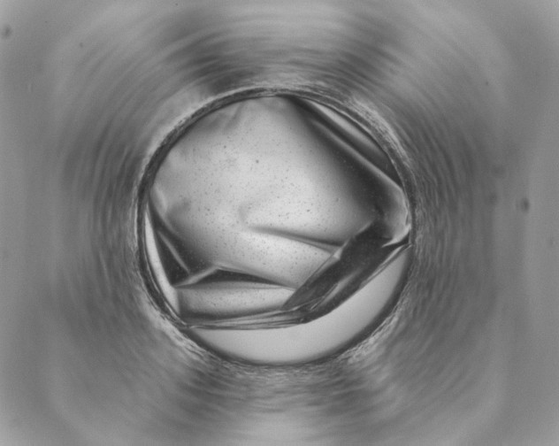 X0000088890939200706291436