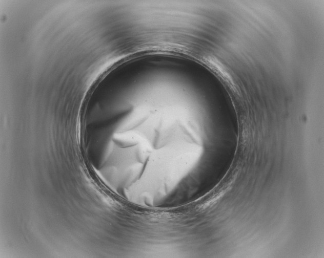 X0000088890940200706291436