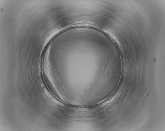 X0000088890941200706291436