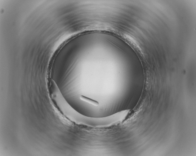 X0000088890942200706291436