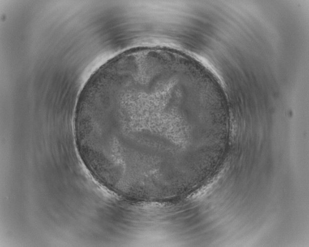 X0000088890943200706291436