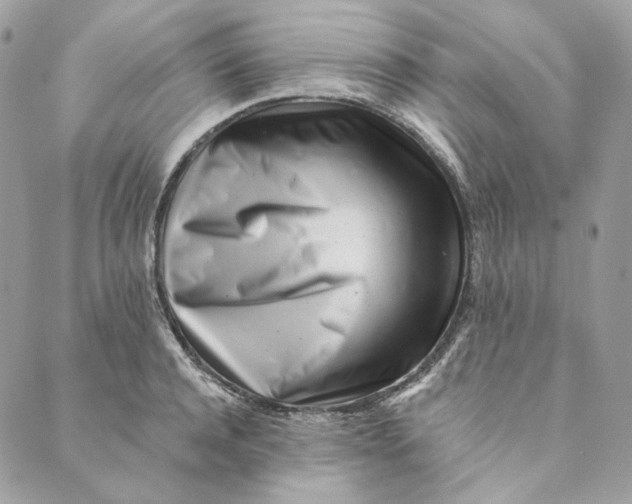 X0000088890944200706291436