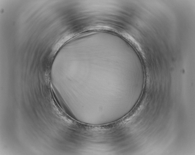 X0000088890945200706291436