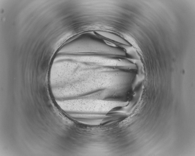 X0000088890946200706291436