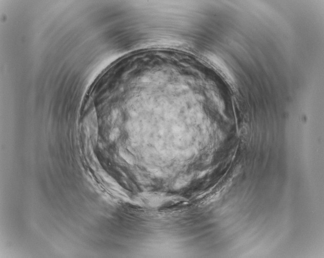 X0000088890948200706291436