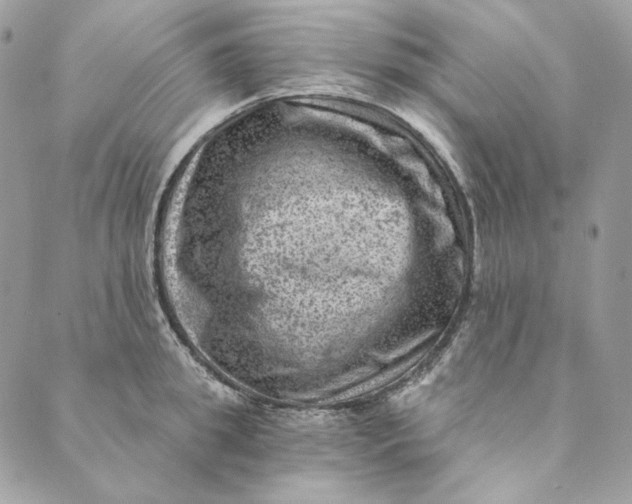 X0000088890949200706291436