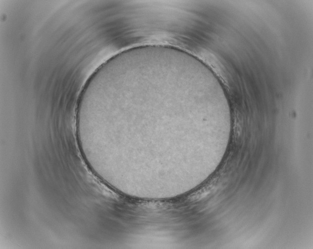 X0000088890950200706291436