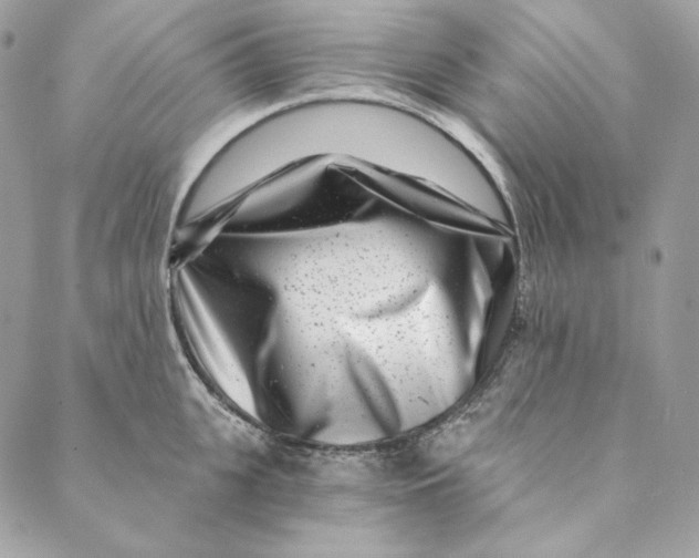 X0000088890951200706291436