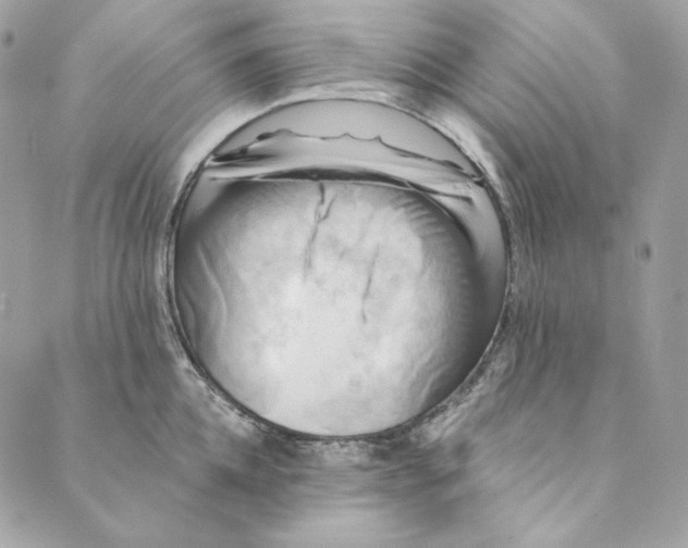 X0000088890952200706291436